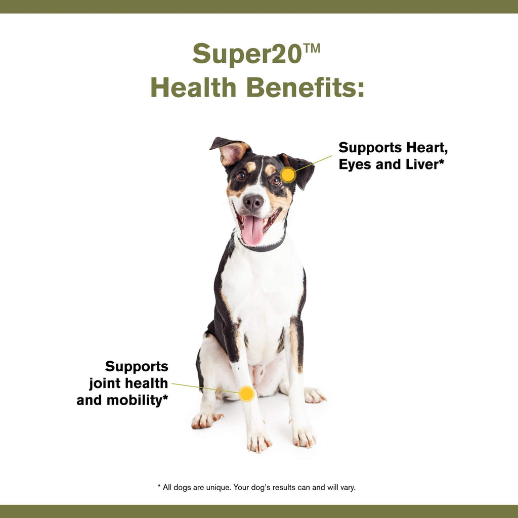 Multi-Benefit Supplement for Dogs P8766