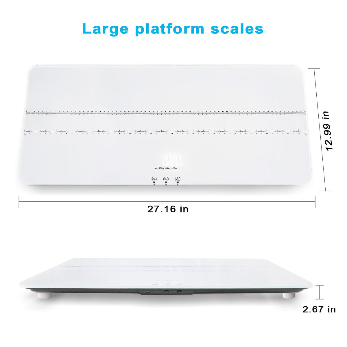 Digital Pet Scale 220lbs R9348
