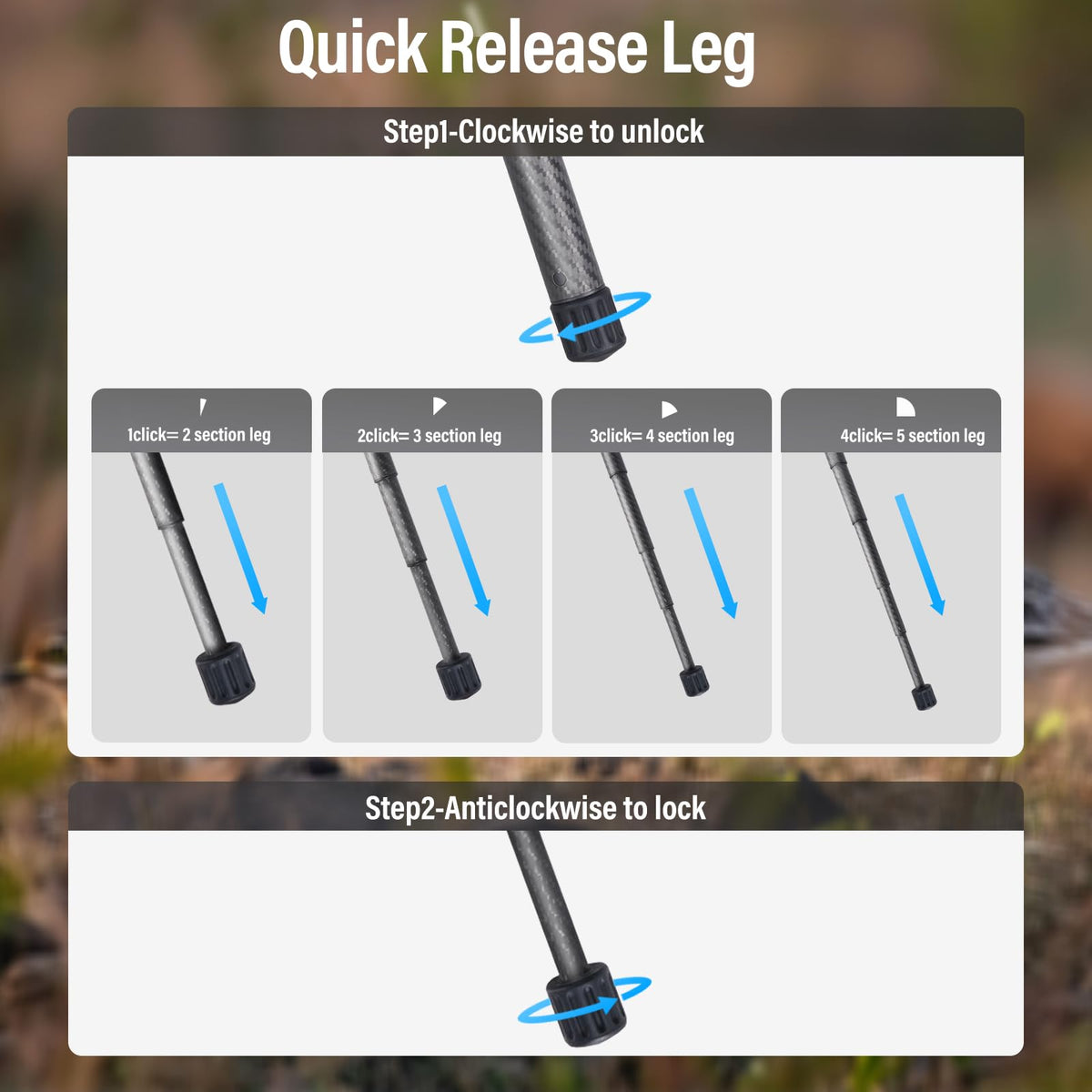 Carbon Fiber Tripod with Panoramic Fluid Head Q805