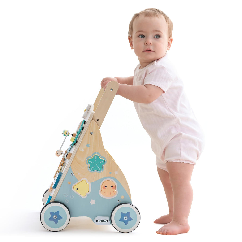 Wooden Baby Walker D12443