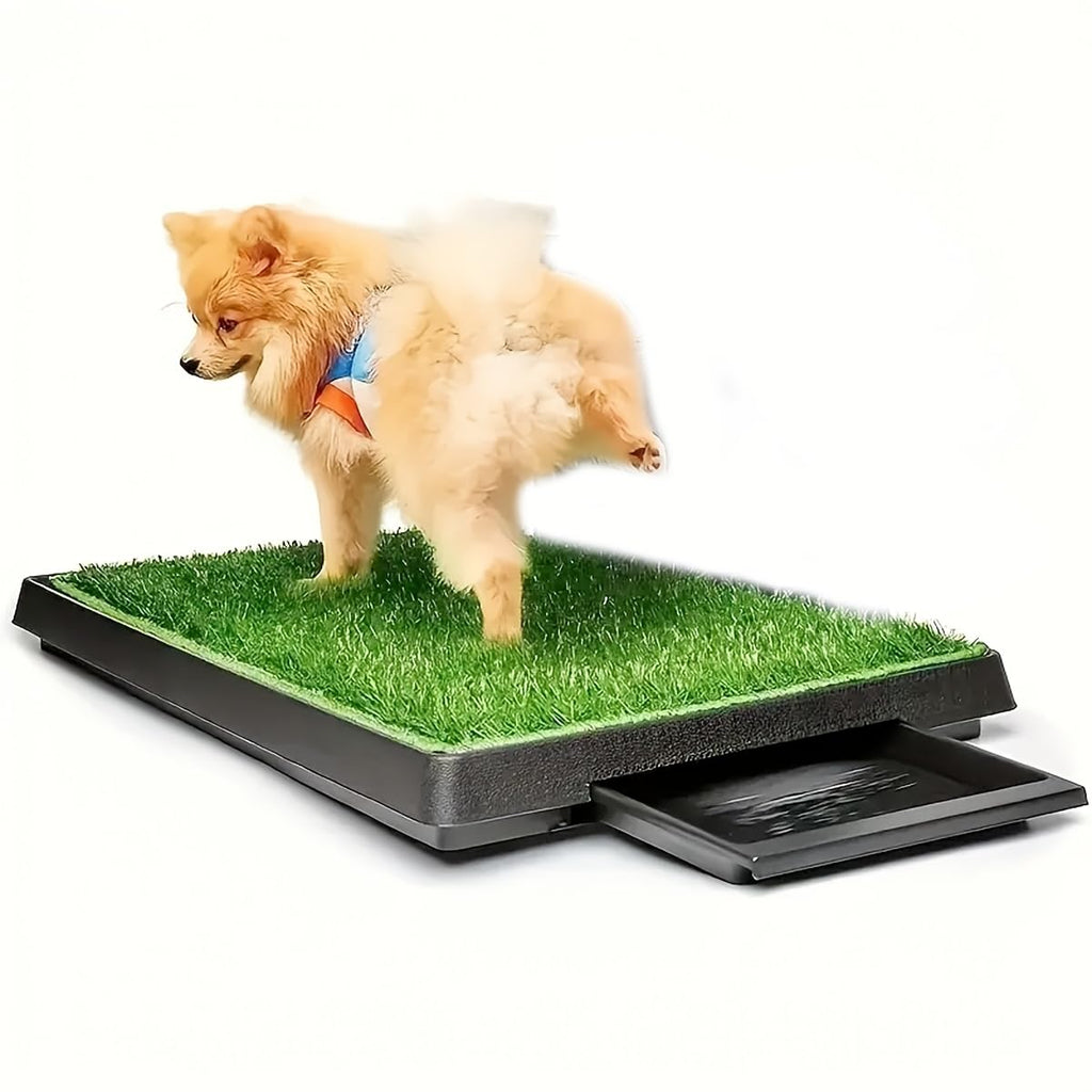 25" X 20" Dog Grass Pad with Tray P383550