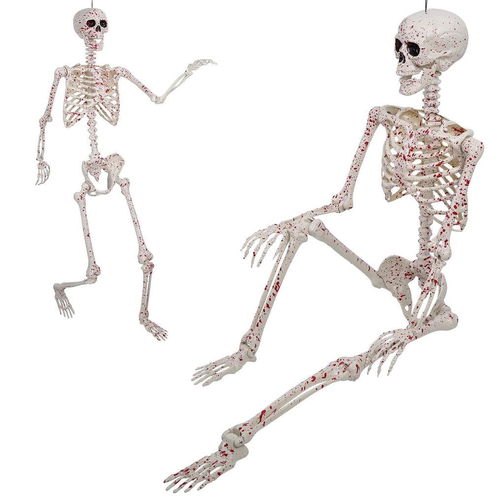 Life Size Posable Skeleton L991