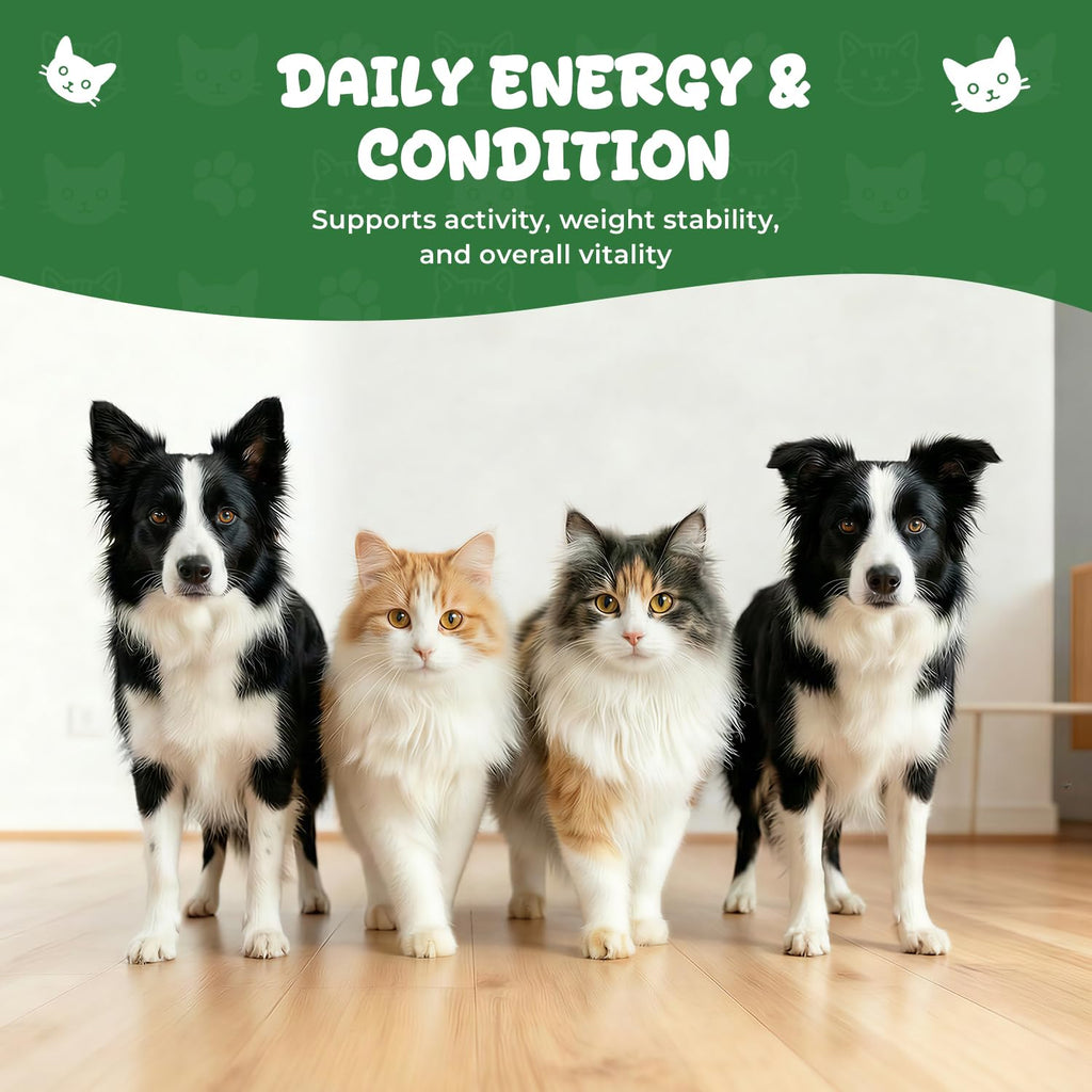 Thyroid Support for Dogs & Cats E454