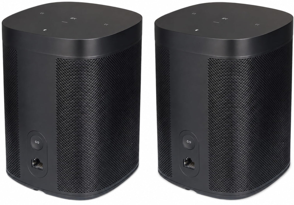 Black Voice Controlled Smart Speaker 2-Pack N993479
