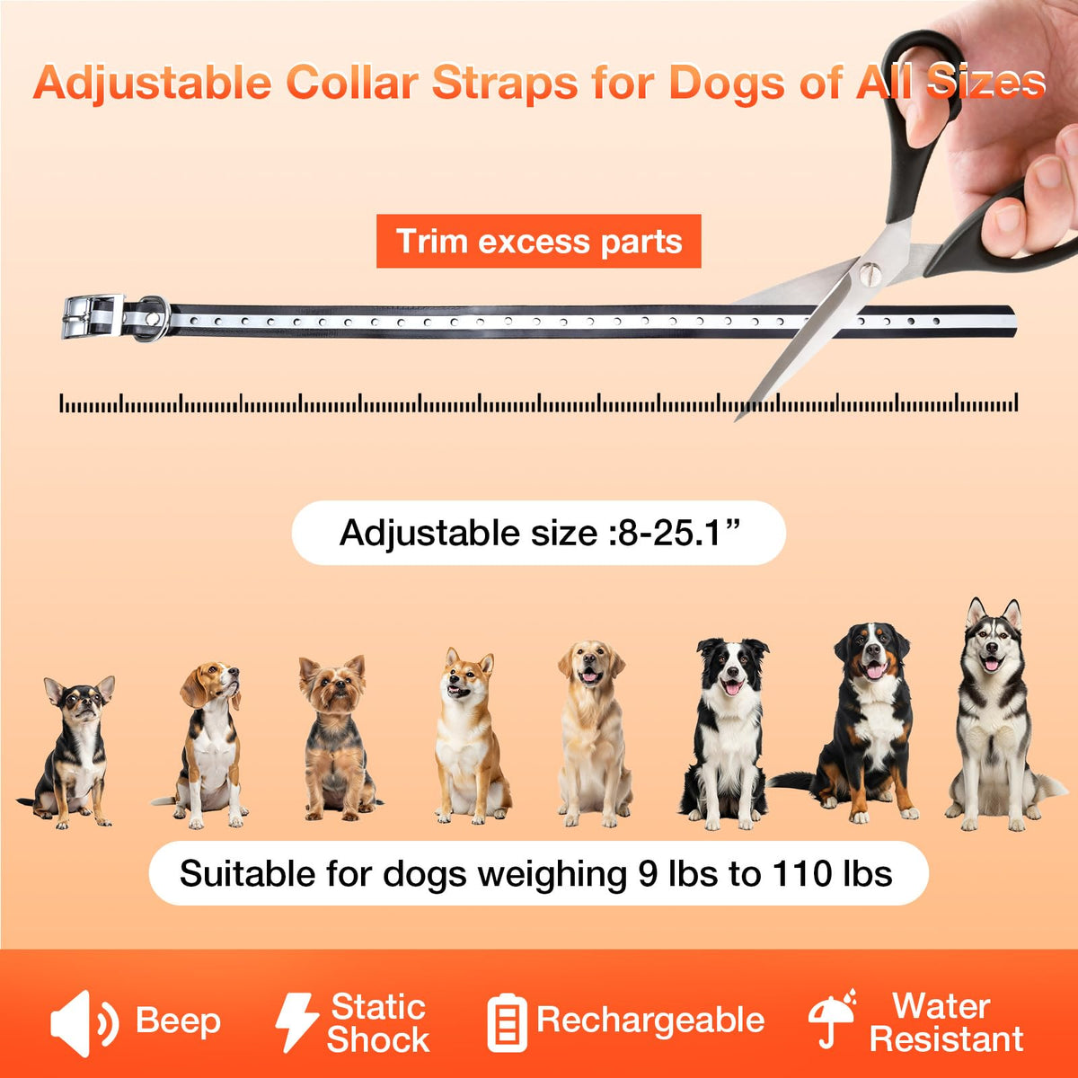 Electric Dog Fence K9824