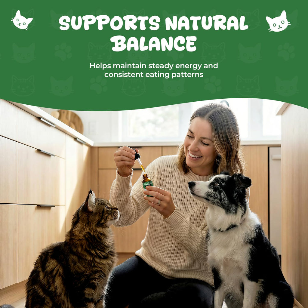 Thyroid Support for Dogs & Cats E454