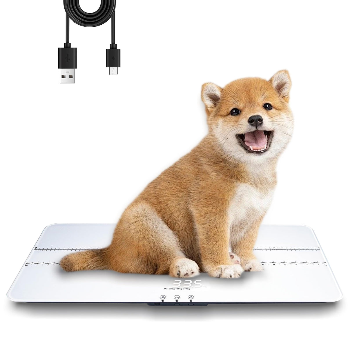 Digital Pet Scale 220lbs R9348