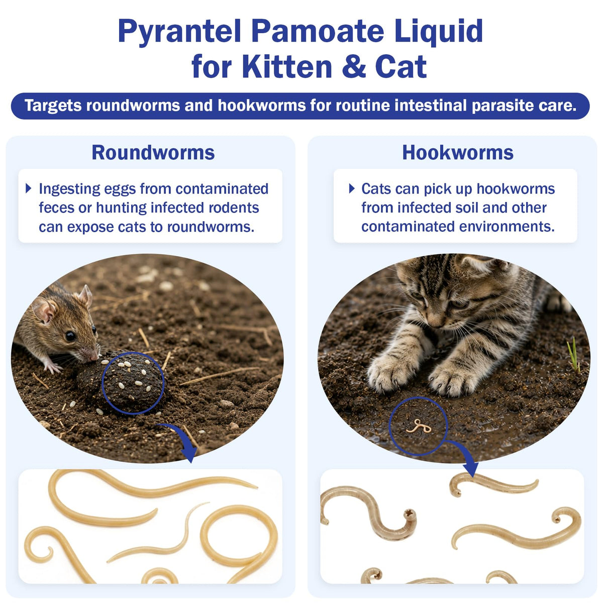 Pyrantel Pamoate Oral Dewormer for Cats & Kittens S479