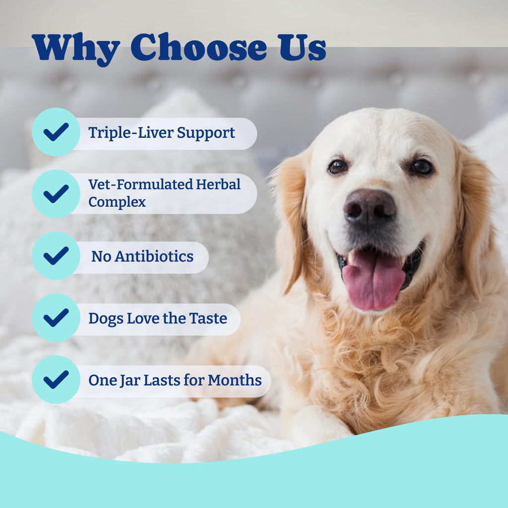 Milk Thistle Liver Support Chews for Dogs T518