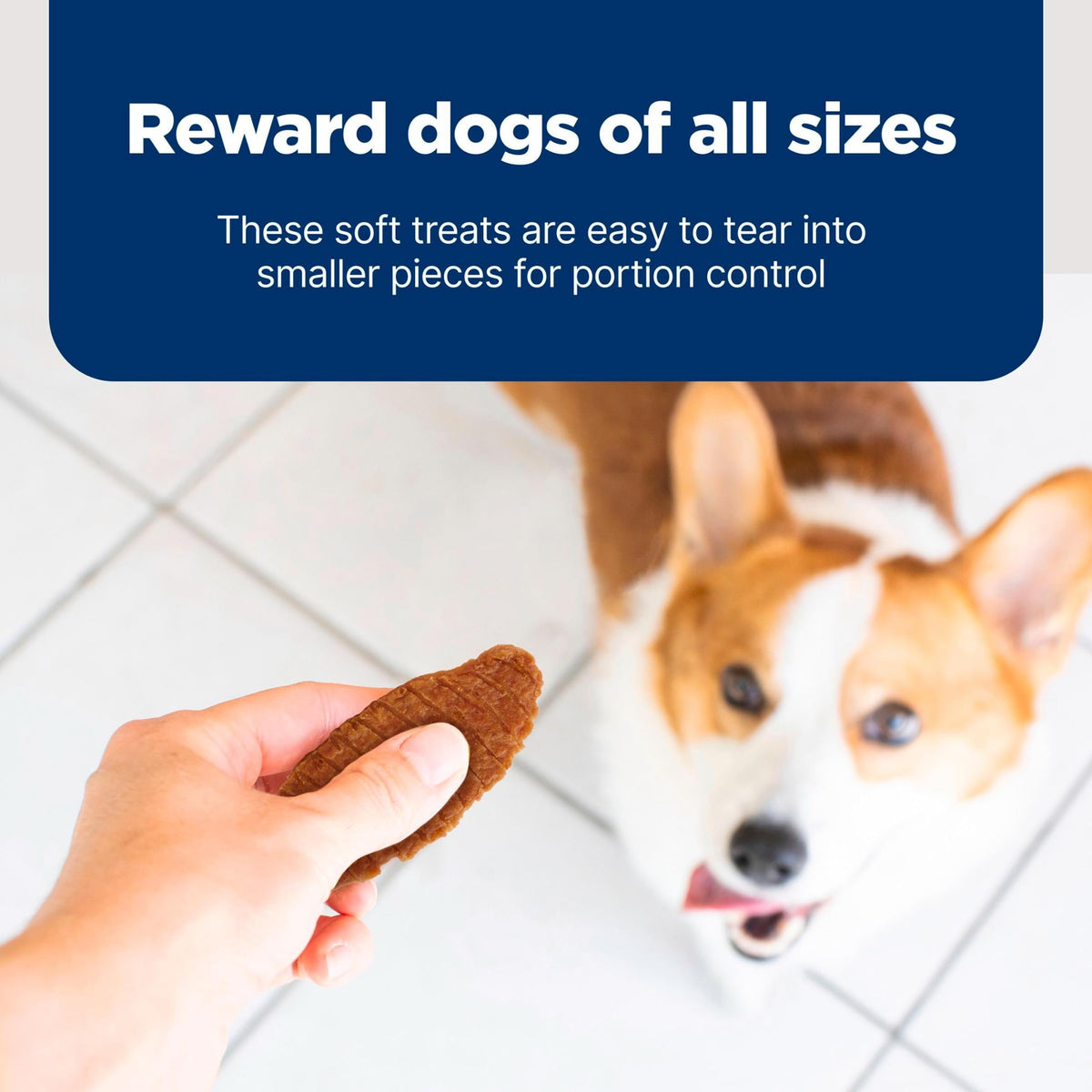 Chicken Dog Treats 16 oz N83227