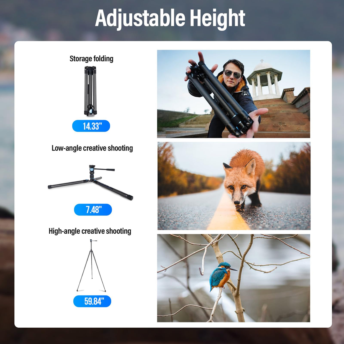 Carbon Fiber Tripod with Panoramic Fluid Head Q805