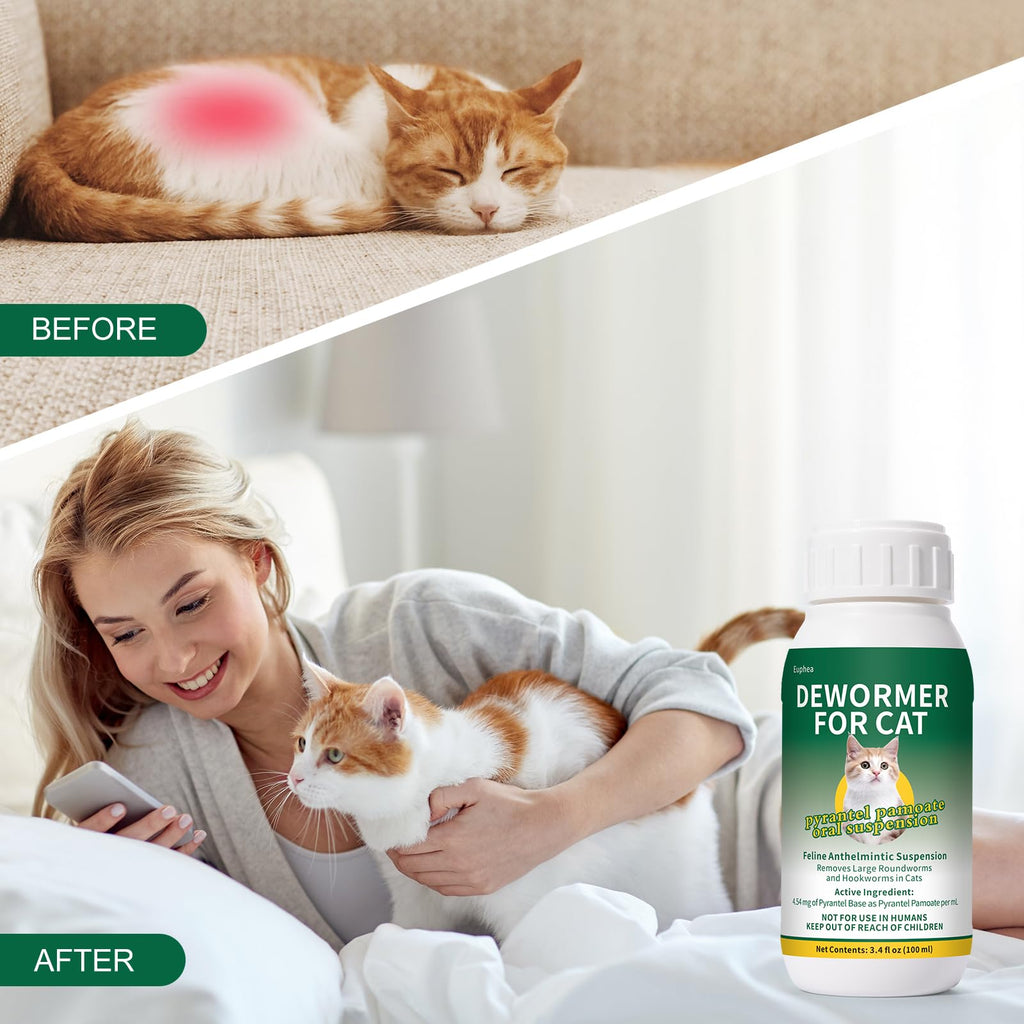 Pyrantel Pamoate Oral Suspension for Cats & Kittens, 100 mL Y2830