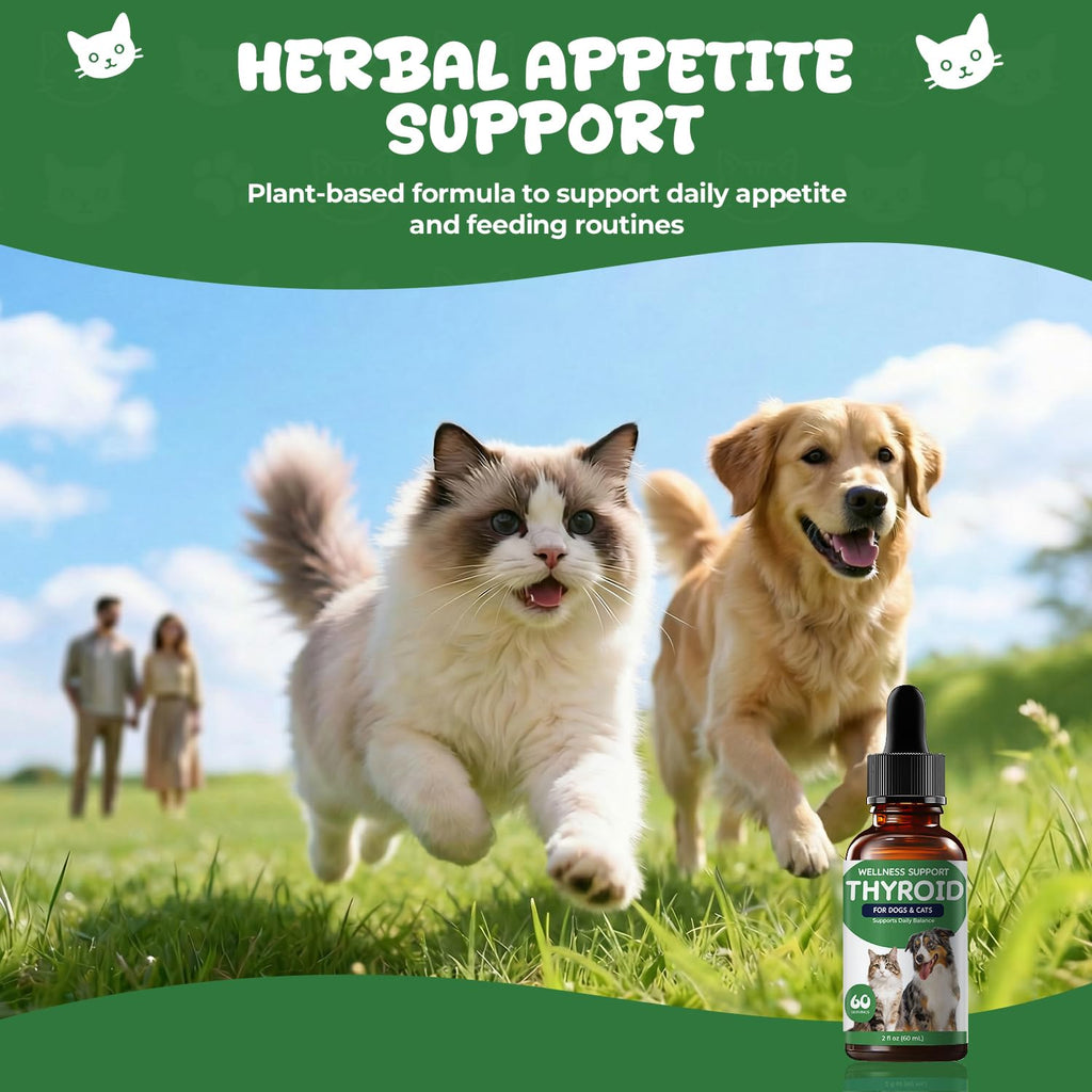 Thyroid Support for Dogs & Cats E454