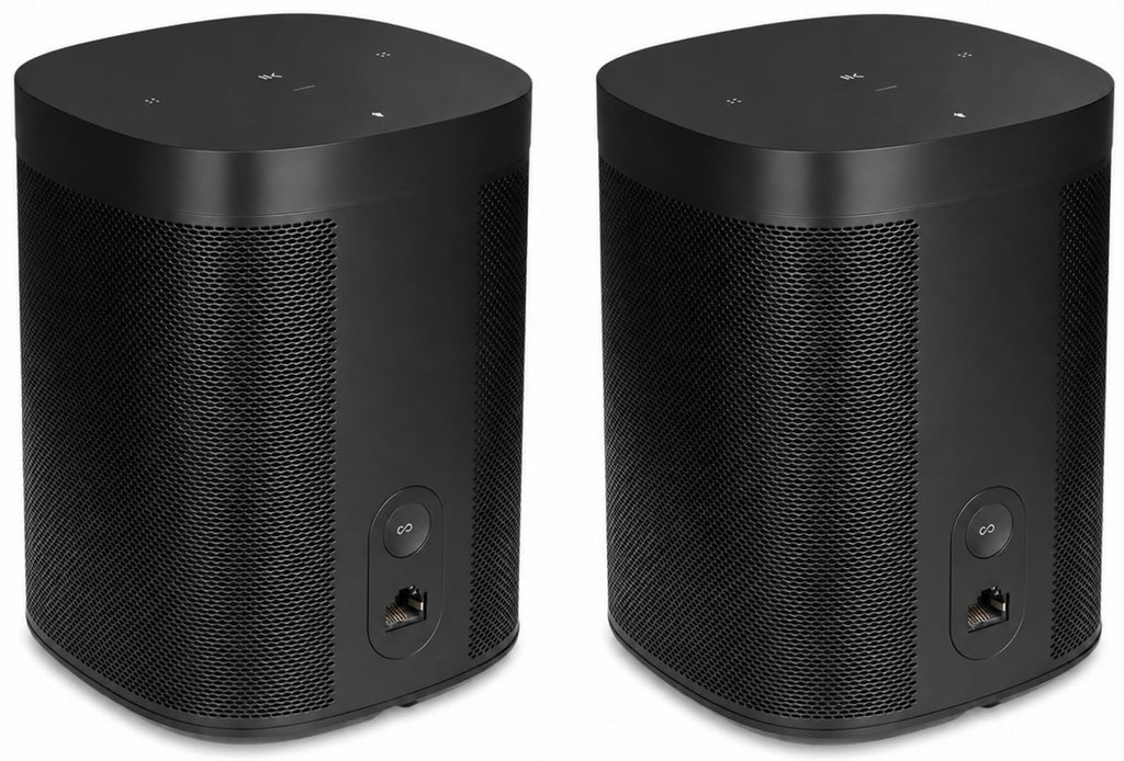 Black Voice Controlled Smart Speaker 2-Pack N993479