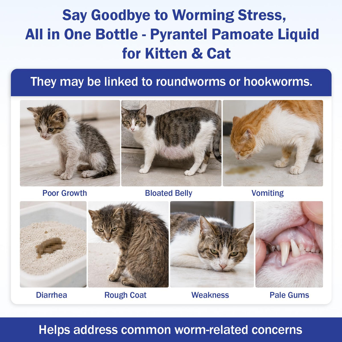 Pyrantel Pamoate Oral Dewormer for Cats & Kittens S479