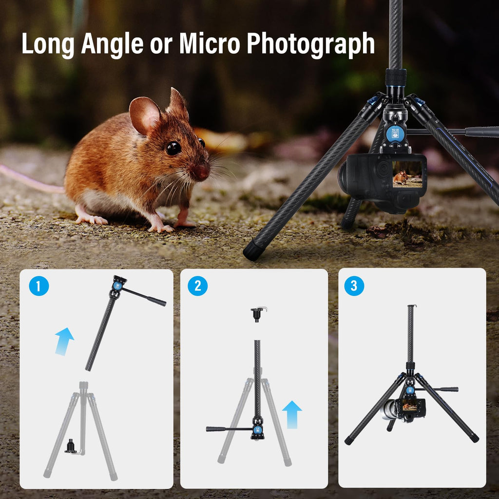 Carbon Fiber Tripod with Panoramic Fluid Head Q805