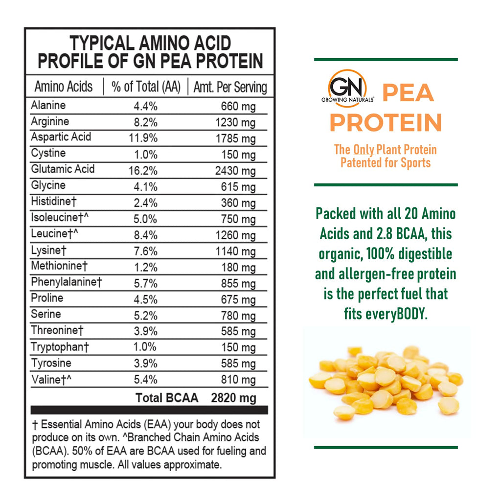 Raw Pea Protein Powder, Vegan Plant Based, BCAA, Low-Carb, Low-Sugar, Unflavored, 2 Pound P119396
