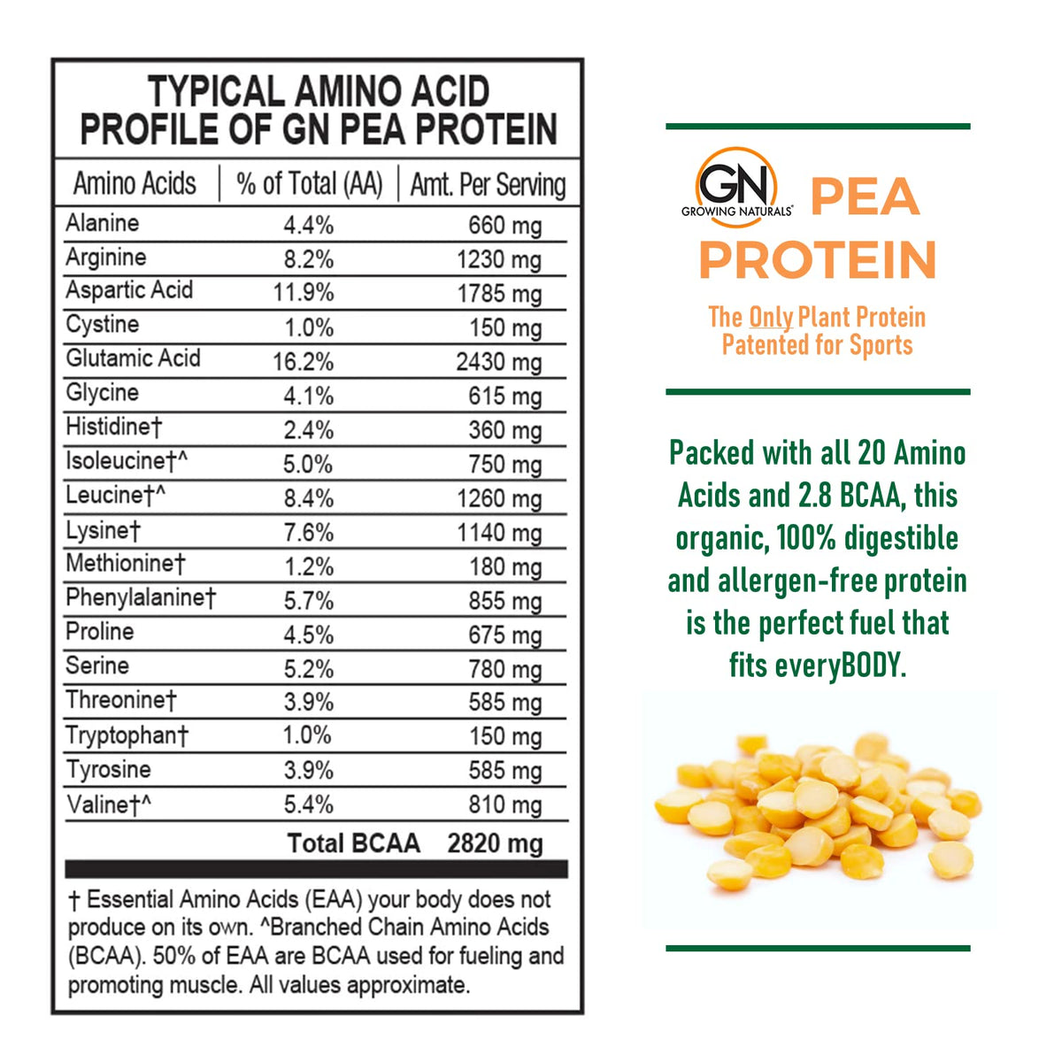 Raw Pea Protein Powder, Vegan Plant Based, BCAA, Low-Carb, Low-Sugar, Unflavored, 2 Pound P119396