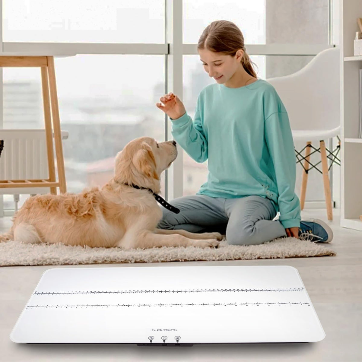 Digital Pet Scale 220lbs R9348