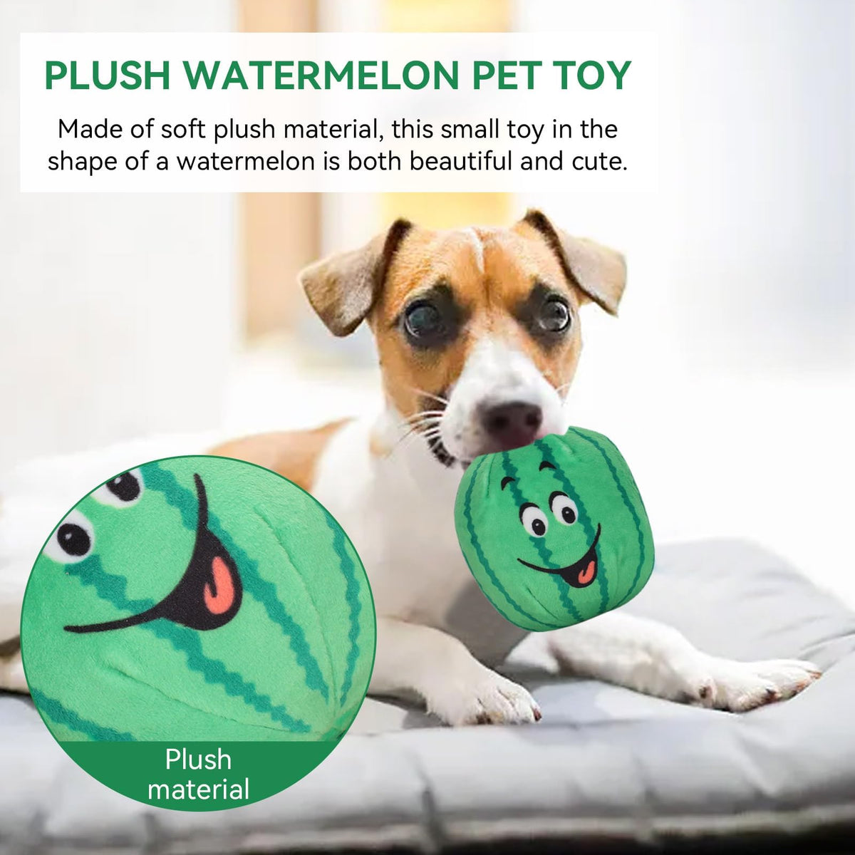 4Pcs Squeaky Plush Dog Toys W4549