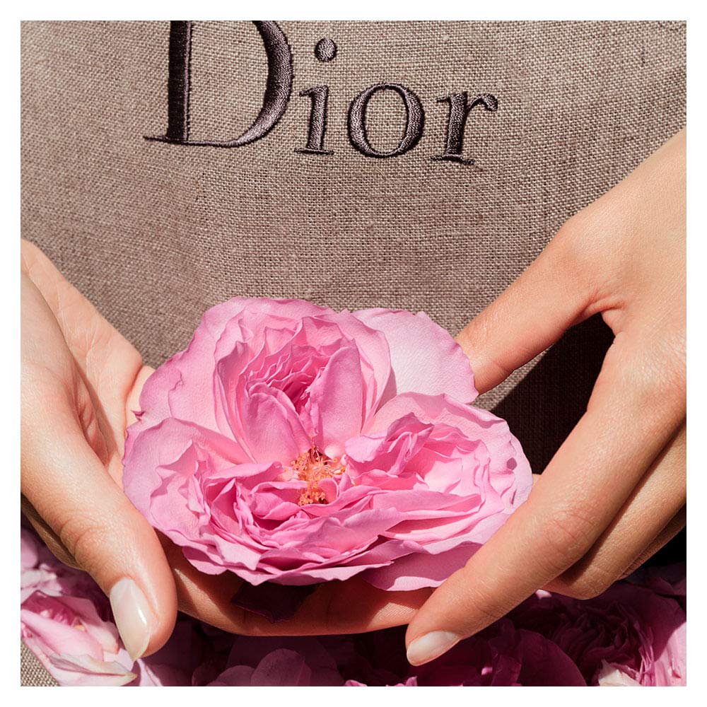 Rose EDT Spray 1.7 oz E229