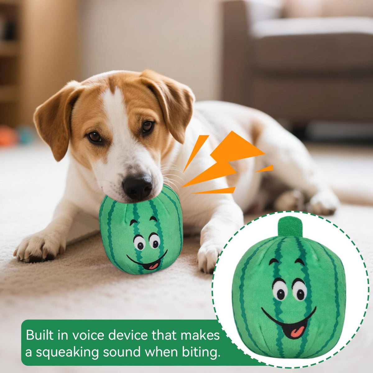 4Pcs Squeaky Plush Dog Toys W4549