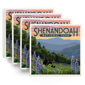 Ceramic Coasters Set of 4 K21009