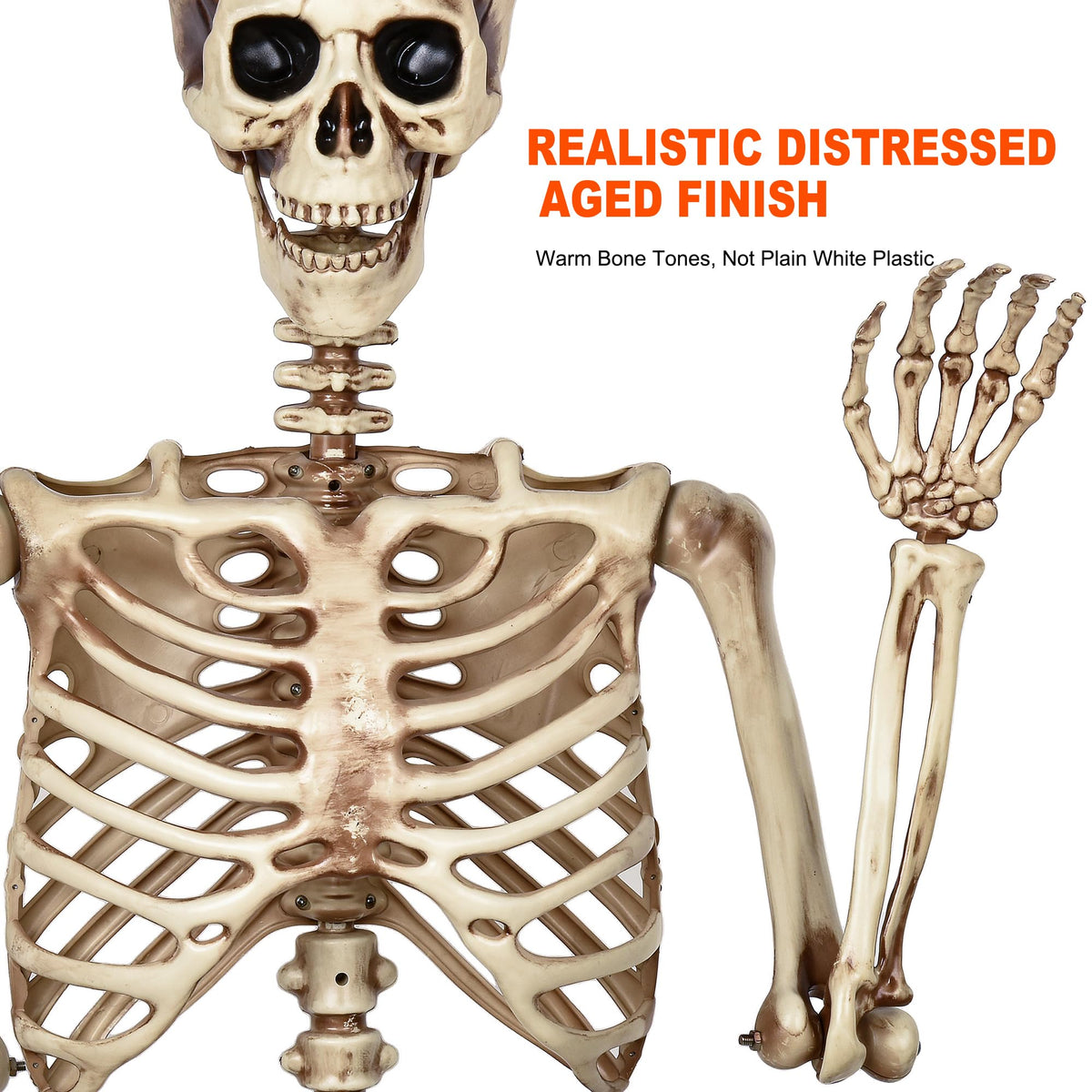 5.4ft Poseable Life Size Skeleton S165771