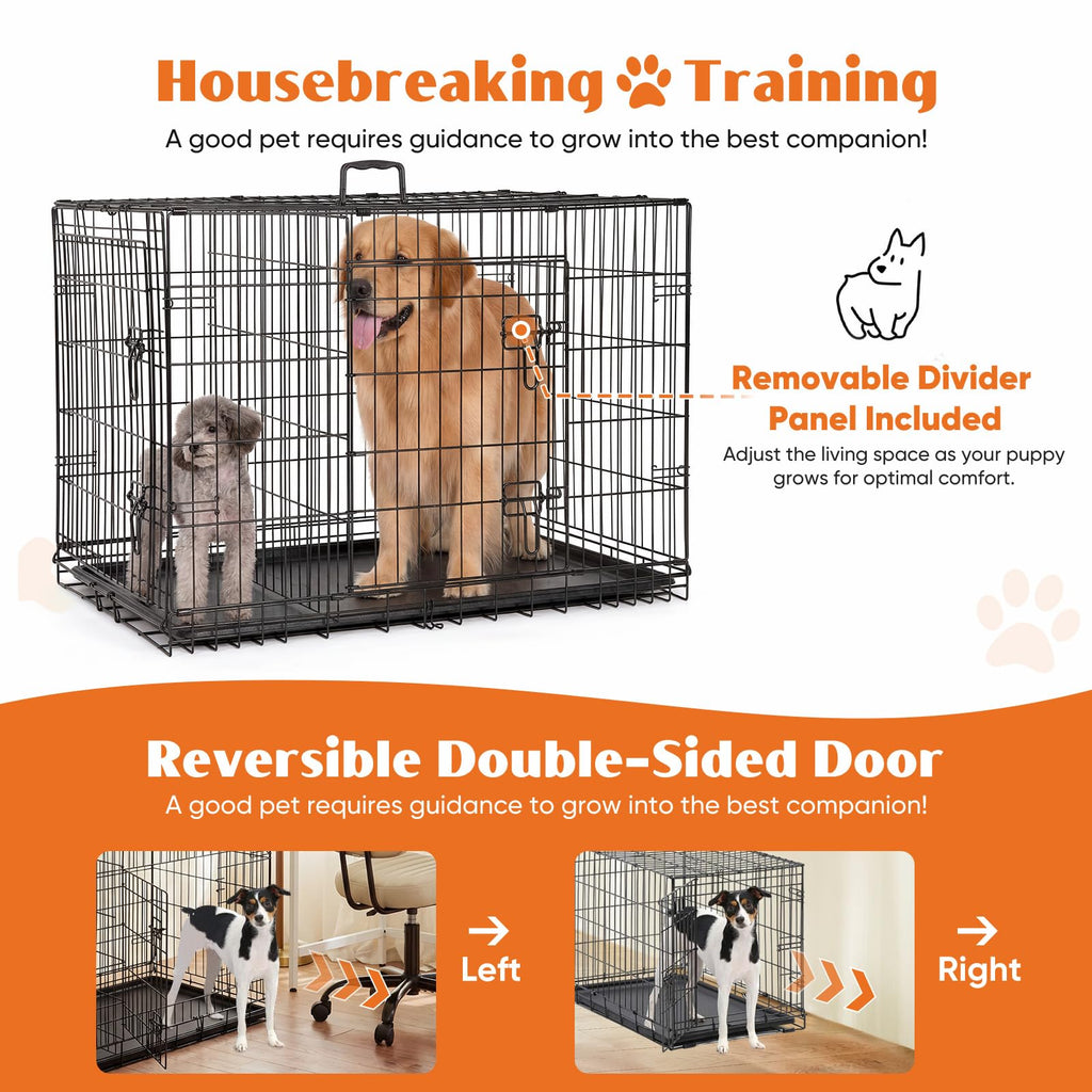 36 Inch Foldable Dog Crate P591