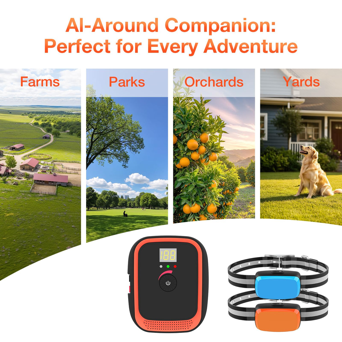 Electric Dog Fence K9824