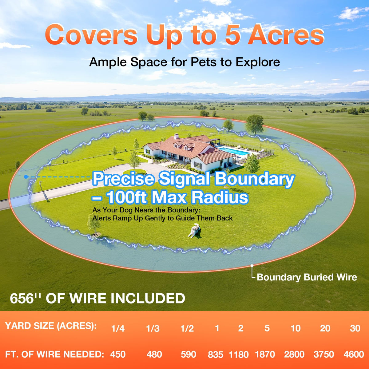 Electric Dog Fence K9824