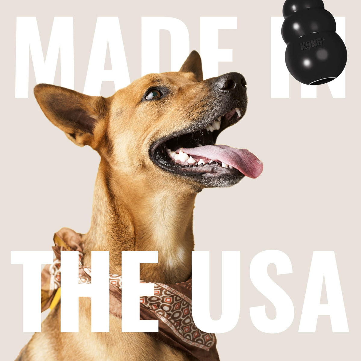 Natural Rubber Dog Toy, Pack of 2 F288