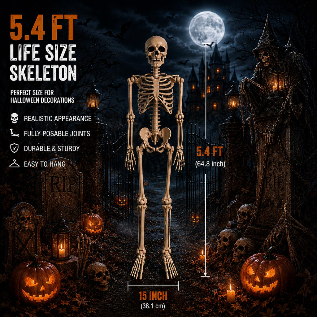 5.4 ft Posable Halloween Skeleton with Movable Joints Q357