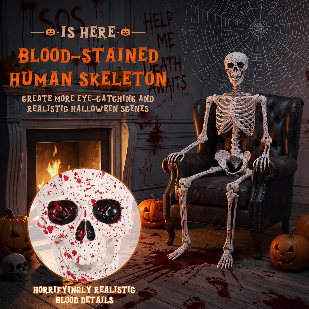 Life Size Posable Skeleton L991