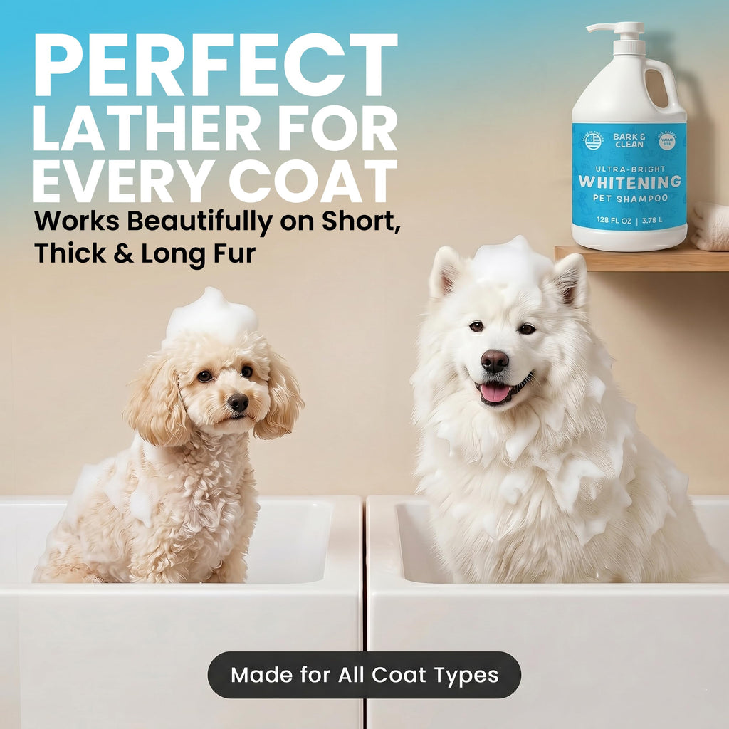 Whitening Dog Shampoo with Pump, 1 Gallon Aloe Coconut J20497