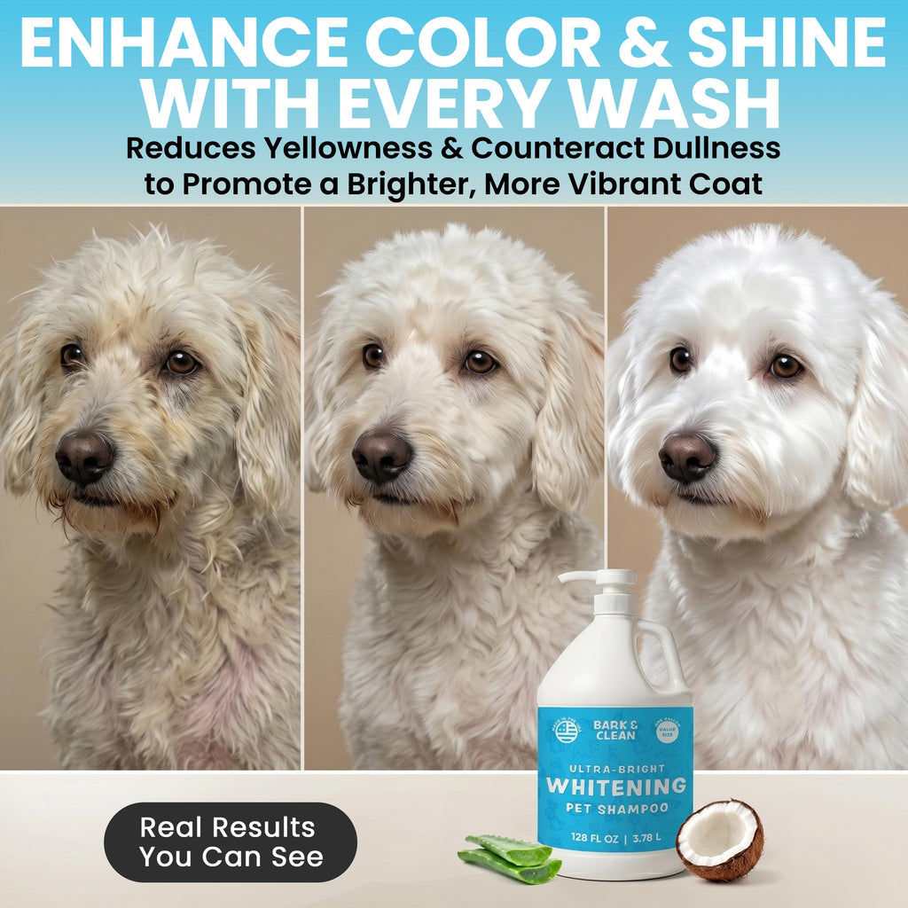 Whitening Dog Shampoo with Pump, 1 Gallon Aloe Coconut J20497