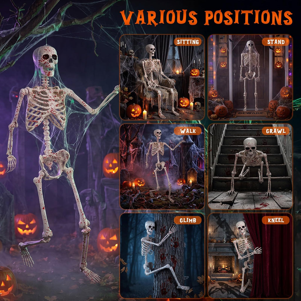 Life Size Posable Skeleton L991