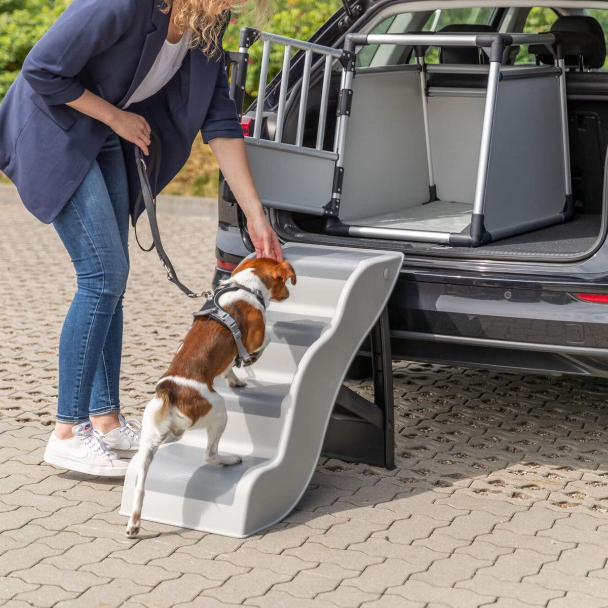 Lightweight 4-Step Pet Stairs J9167