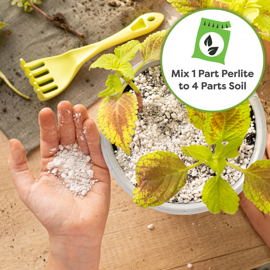 Organic Perlite 4 qt F29470