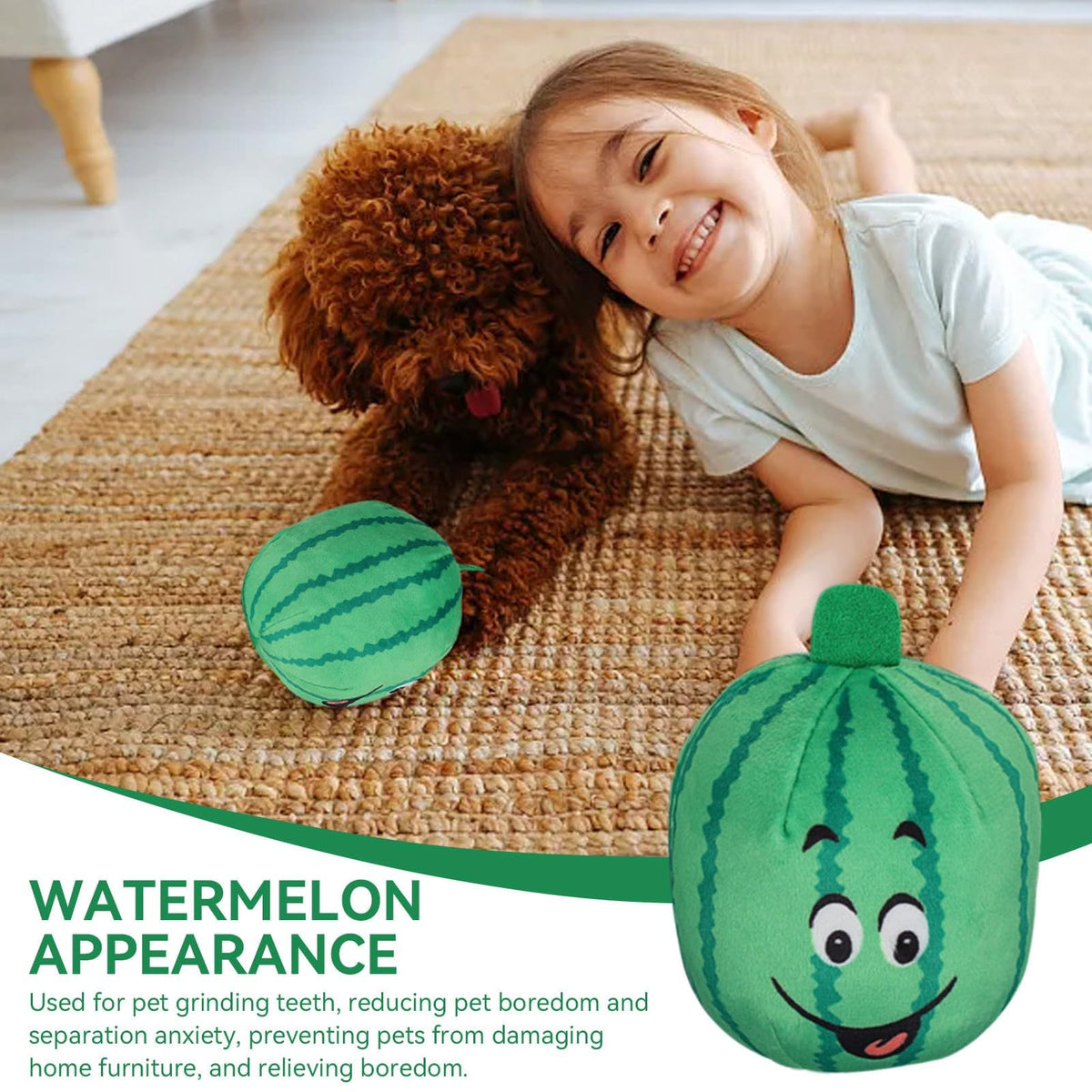 4Pcs Squeaky Plush Dog Toys W4549