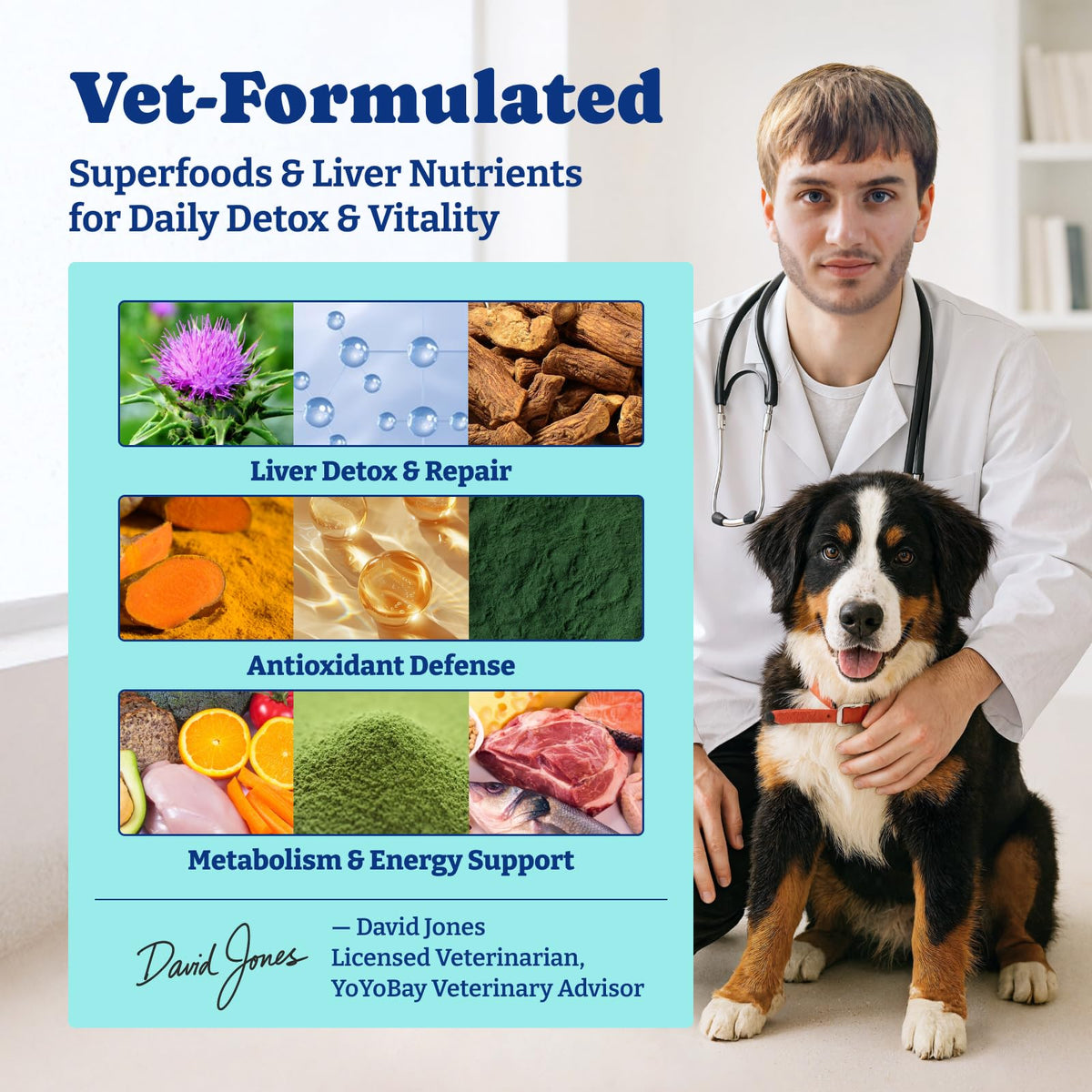 Milk Thistle Liver Support Chews for Dogs T518
